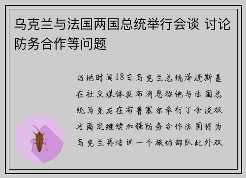 乌克兰与法国两国总统举行会谈 讨论防务合作等问题