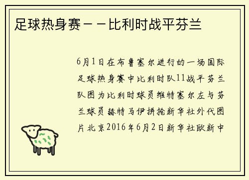 足球热身赛－－比利时战平芬兰